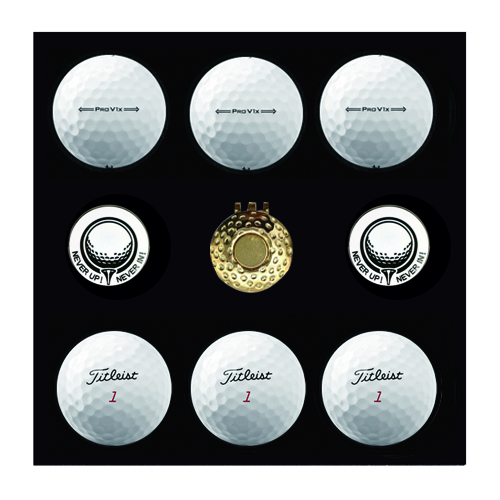 Ÿ��Ʋ����Ʈ PRO V1x 6�� ����Ŀ 2�� �ιٸ����̽���Ʈ